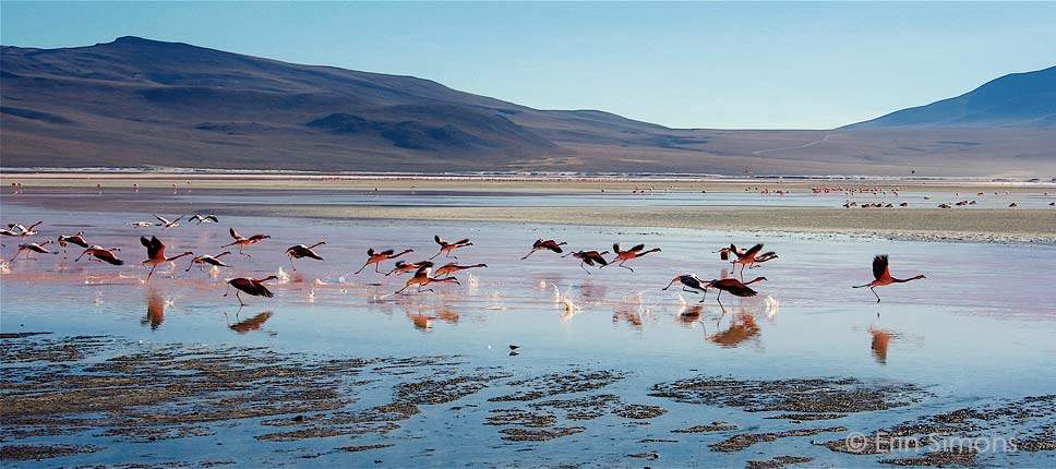 Erin Simons Photography - South America's Landscape and People